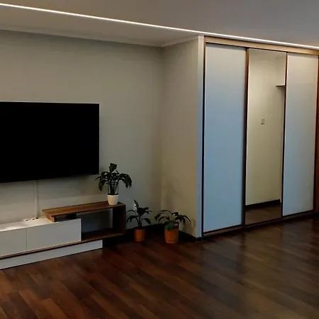 Lagan - Doskonala Baza W Aglomeracji Slaskiej Apartment *